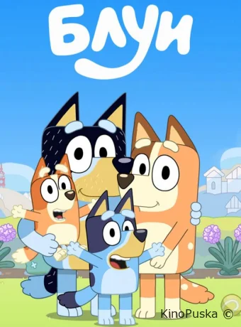 Блуи