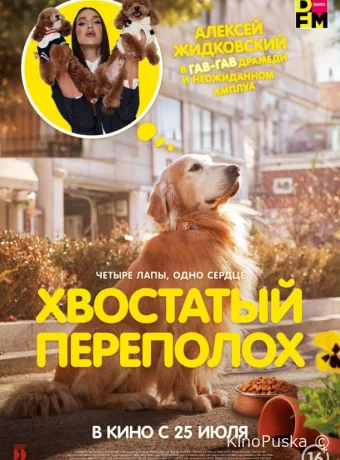 Хвостатый переполох
