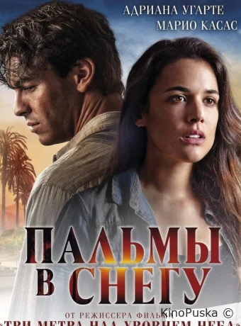 Пальмы в снегу