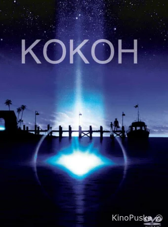 Кокон