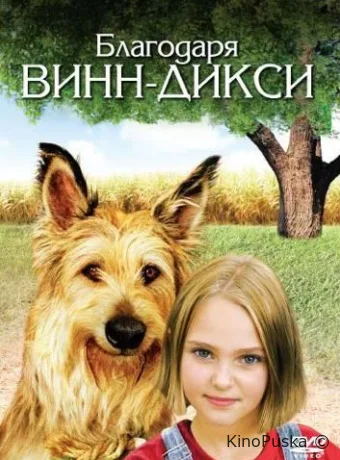 Благодаря Винн Дикси