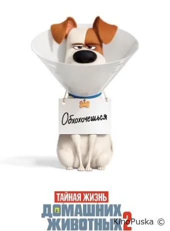 Тайная жизнь домашних животных 2
